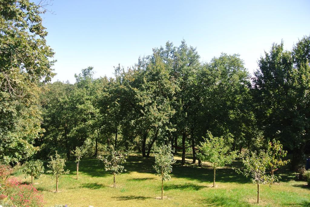 A L'Oree Du Bois Rillieux-la-Pape Номер фото