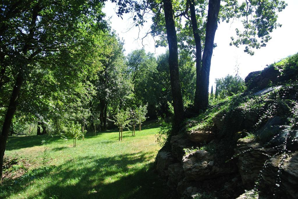 A L'Oree Du Bois Rillieux-la-Pape Номер фото